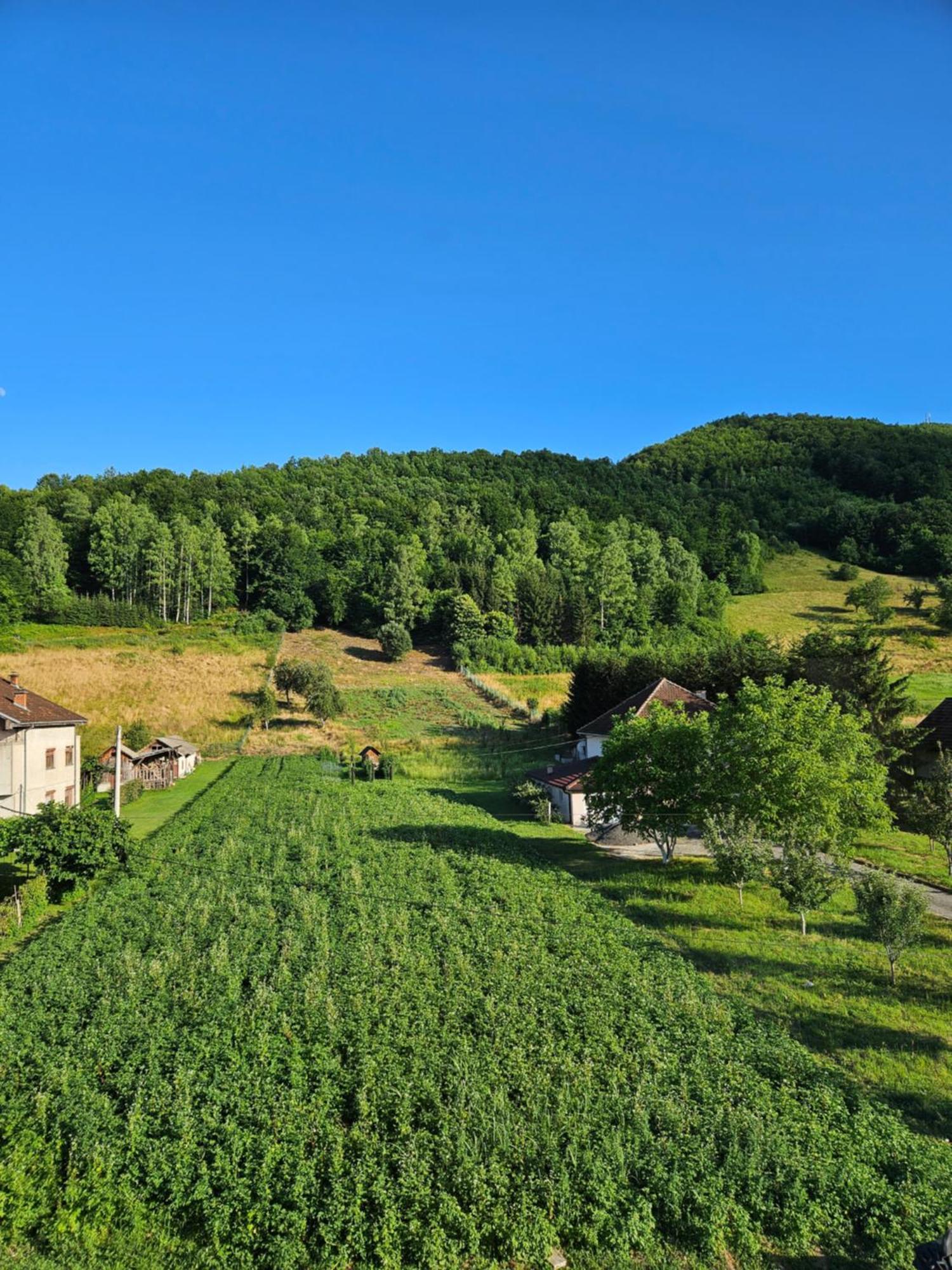 Apartmani Spa Bjelasica Bijelo Polje Kültér fotó